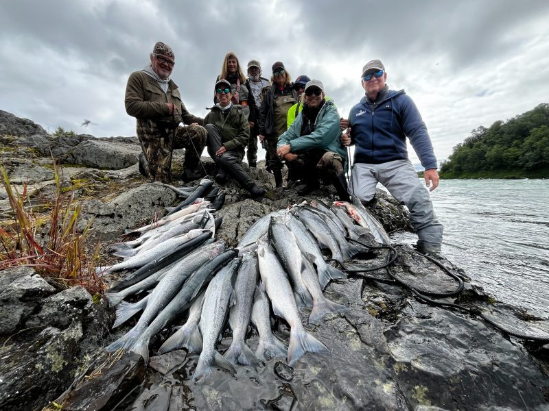 sockeye salmon